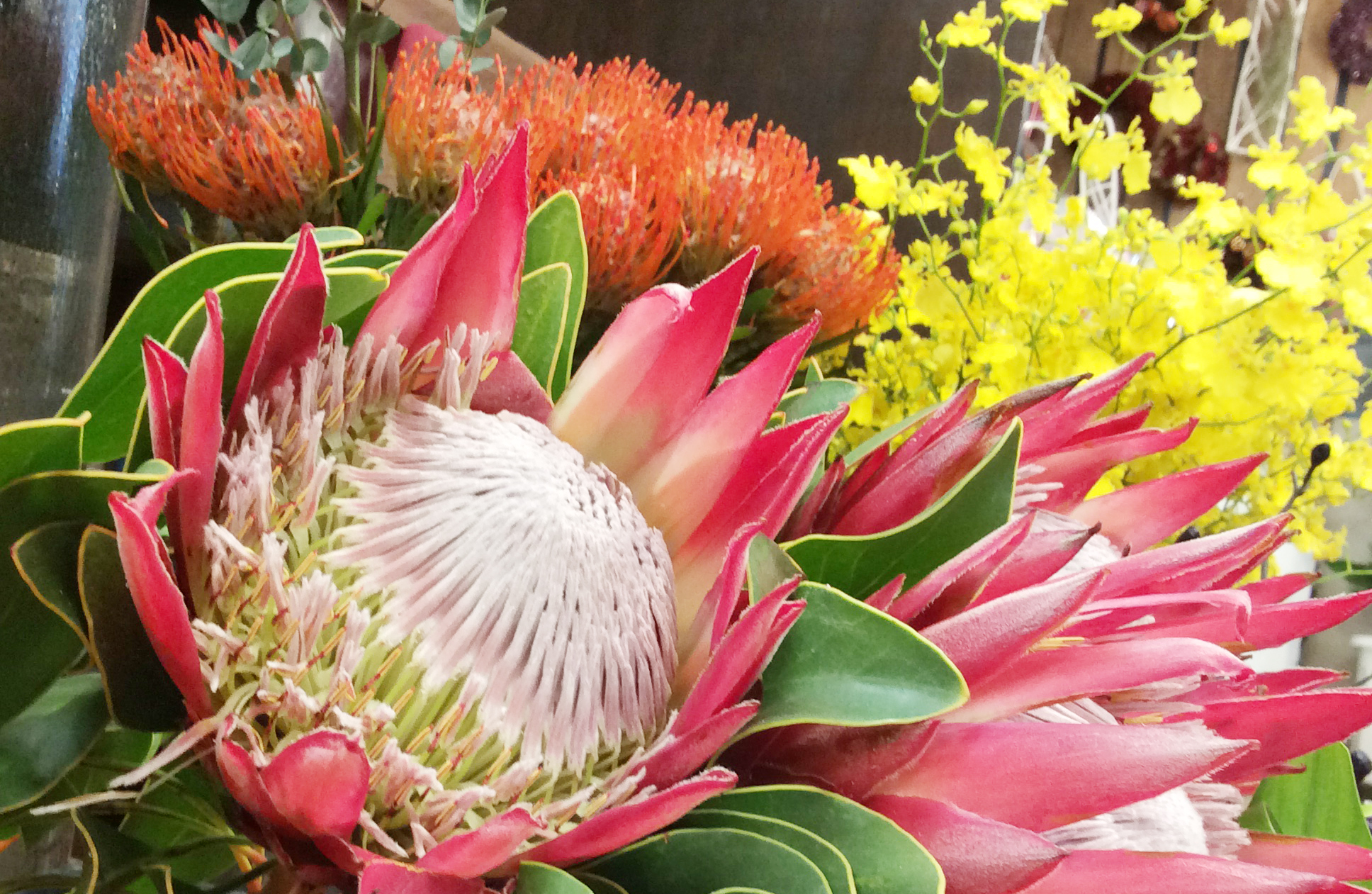 ãã©ã¯ãŒã¢ã¬ã³ãžã®å®æäŸ¿ïŒã®ããã«ãïŒè±ç£å°äŒé£ããå
šåœãžã3ã¶æïœãã©ã¯ãŒã¢ã¬ã³ãž äŒé£ è± ã®ãã ãã¬ãŒã³ã ã¯ãª è¯ãã åå£ ä¿¡å· ãµãããšçŽçšã060-09ã