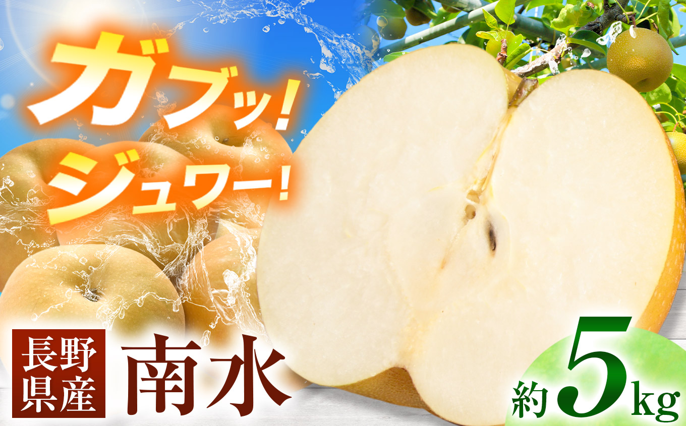梨 南水 [ 数量限定 ]ガブッ!シャキ!ジュワー!と甘すぎ 南水 梨 約5キロ | 果物 フルーツ 梨 ナシ 南水 なんすい 晩生品種 長野県 伊那市 [013-15]