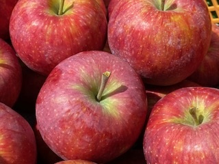 りんご シナノリップ 信州産の夏りんご 美味しさNO.1 さわやかな酸味 シナノリップ 約4kg | 果物 フルーツ 林檎 りんご シナノリップ 長野県 オリジナル 品種 伊那市 【012-64】