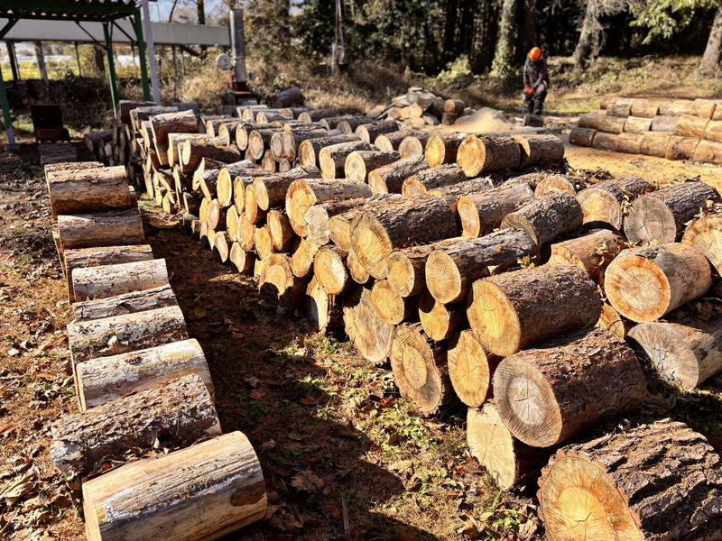 信州伊那谷産 松の薪（焚き付け用）1箱 4束入り 25kg相当 ｜薪 25kg 松の薪 長野県 伊那市 キャンプ BBQ アウトドア【008-17】