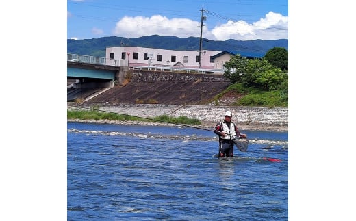 【令和8年】天竜川漁業協同組合　一般魚　年間遊漁券|鑑札 渓流 釣り券 漁業券 入漁券 一般漁 ウグイ イワナ ワカサギ アマゴ ほか アユ FISHPASS アプリ インストール 必要 伊那市 信州 体験 ふるさと納税【037-10】