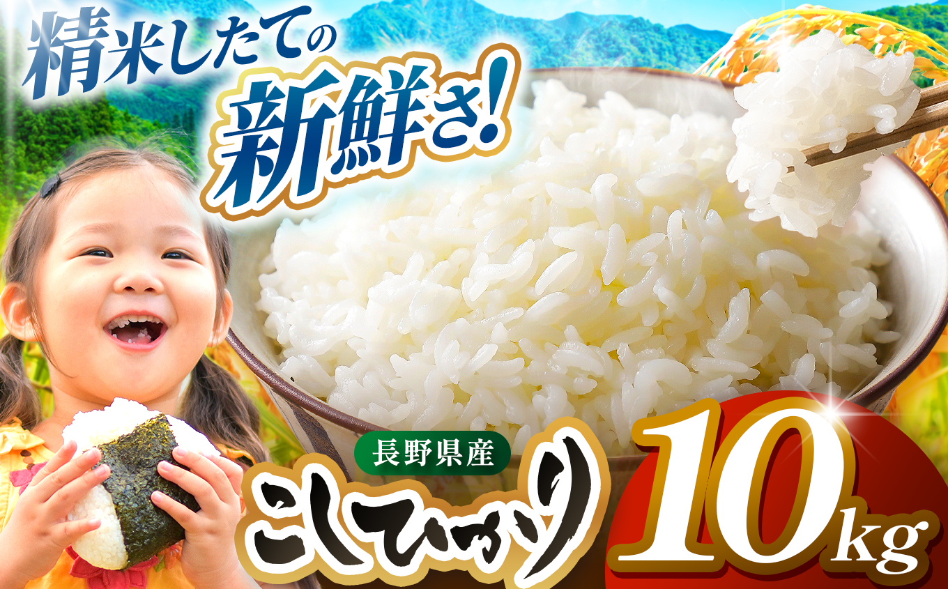 米 10kg  コシヒカリ 令和7年産 JA上伊那 コシヒカリ 今ずり米 5kg 2袋 長野 上伊那産 お米 長野県産 こしひかり 10キロ 白米 精米 信州産 特産 産地直送 おすすめ こめ コメ おこめ 送料無料 長野県 伊那市【034-10】