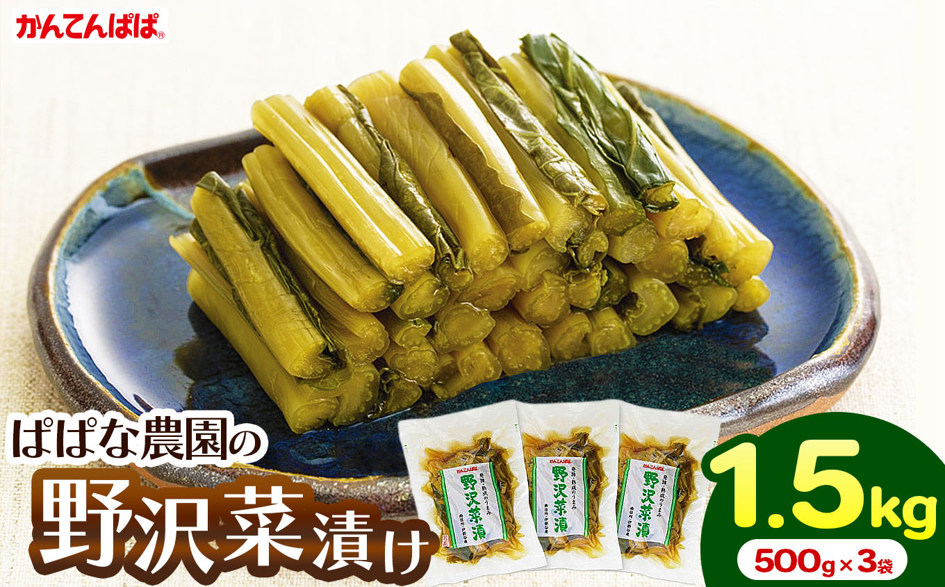 かんてんぱぱ　ぱぱな農園の野沢菜漬け500g×3袋｜ぱぱな農園 野沢菜漬け 野沢菜 漬物 国産 信州漬物 長野県 伊那市 ふるさと納税 ご飯のお供 人気 おすすめ【010-a5】