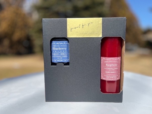 ジャム ベリー 信州産 完熟 ベリージャム 200g2種と ベリーソース 200g2種セット | フルーツ ジャム ソース ラズベリー ブルーベリー 完熟 つみたて 加工品 長野県 伊那市 【013-36】