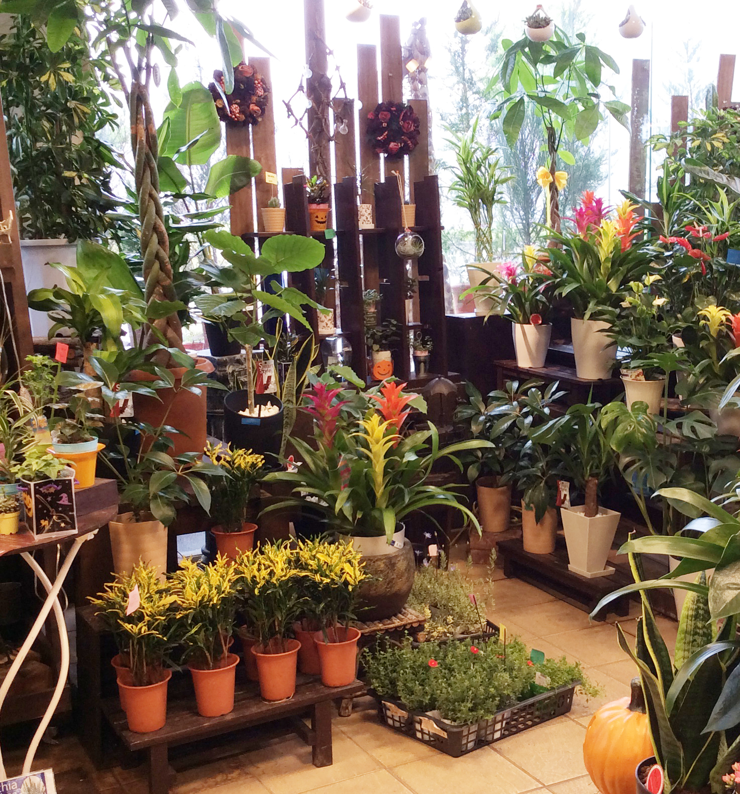 フラワーアレンジ（ギフトにも）花産地伊那から全国へ｜フラワーアレンジ 伊那 花 ギフト プレゼント はな 華やか 四季 信州 ふるさと納税【020-18】