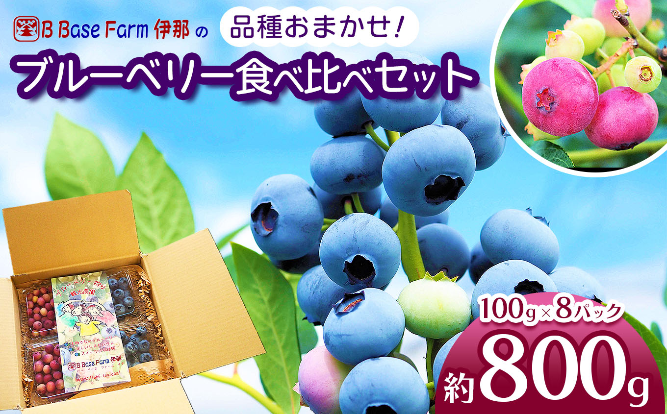 ブルーベリー 食べ比べ 品種 お任せ 100g×8パック B Base Farm伊那 | ブルーベリー フルーツ 国産ブルーベリー 果物 完熟 大粒 甘い 新鮮 食べ比べ 品種豊富 長野県産 長野県 信州 伊那市 【014-57】