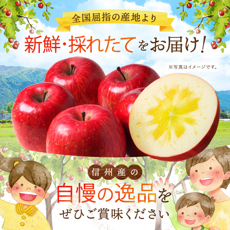 先行受付 令和8年産 有機肥料栽培 りんご ふじ 約5kg｜伊那 りんご ふじ フルーツ 果物 甘い 農園 林檎 ふるさと納税 長野県【011-05】