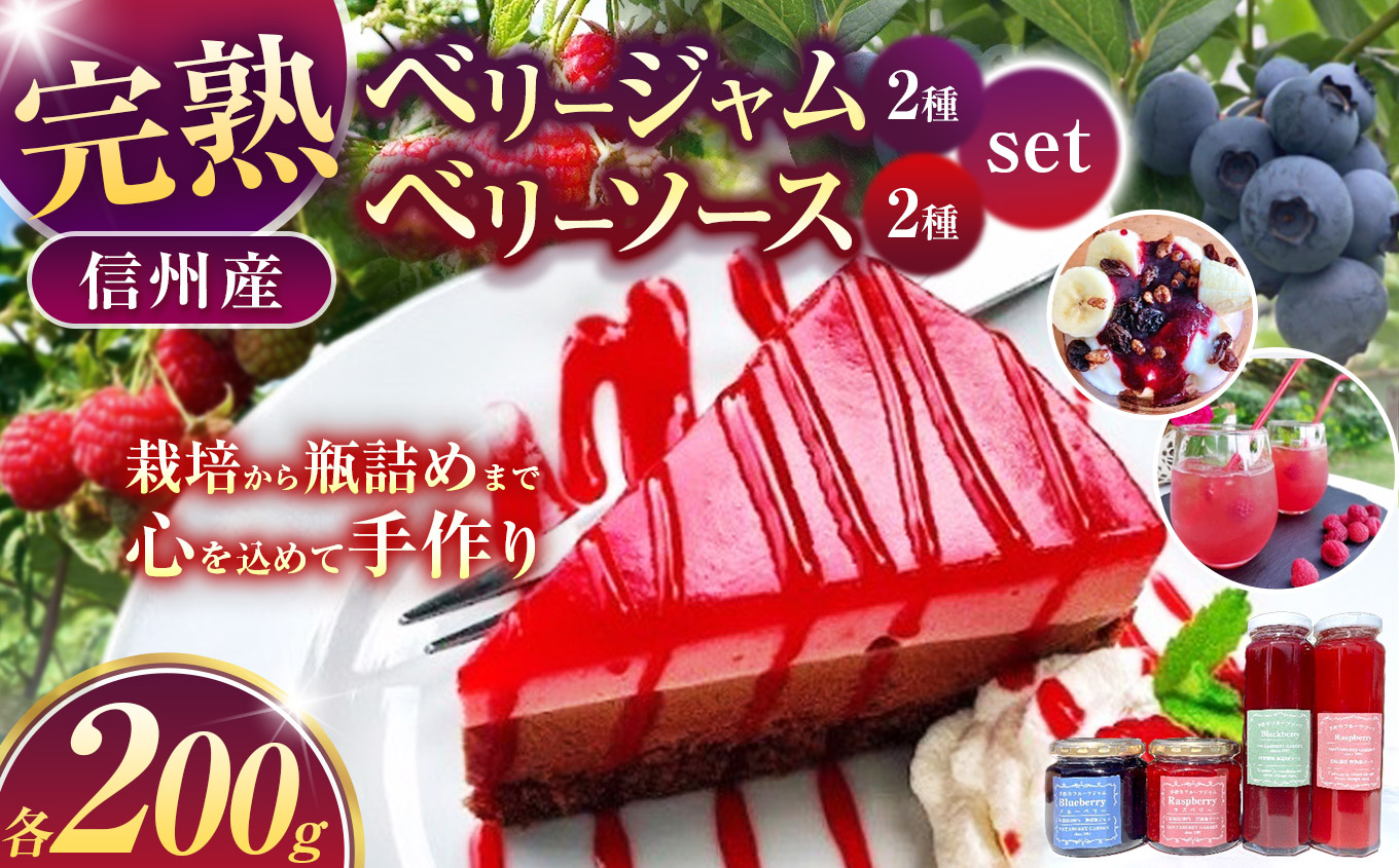 ジャム ベリー 信州産 完熟 ベリージャム 200g2種と ベリーソース 200g2種セット | フルーツ ジャム ソース ラズベリー ブルーベリー 完熟 つみたて 加工品 長野県 伊那市 【013-36】