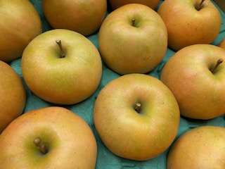 ããã èµ€æèããã ãªãã®ã®ãããã çŽ2.5kg ïœ ããã ææª ãã«ãŒã æç© ãªãã®ã®ãããã èµ€æè ãã ãã äŒé£ ãµãããšçŽçš ä¿¡å· é·éç ã012-72ã