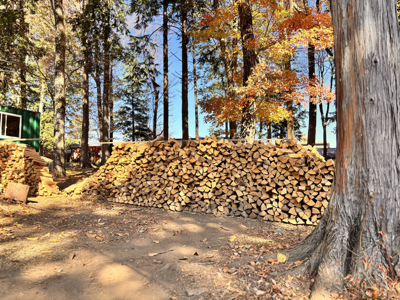 ä¿¡å·ç£çãä»ãçšèª ã«ã©ãã«ã§ã³ãã³ãããçç«å€ä»ãïŒ6åå
¥ïŒçŽ6kg ïŒçŽ3kgÃ2ç®±ïŒ ïœé·éç äŒé£åž ä¿¡å· èª çãä»ãçš çç«å€ä»ã ãã£ã³ã BBQ ã¢ãŠããã¢ã006-10ã