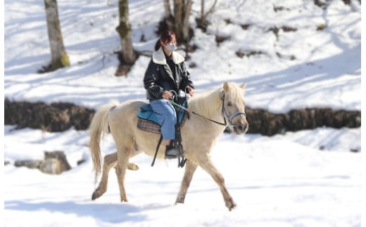 里山で乗馬体験（馬のブラシがけと乗馬でむらをお散歩）1人から5人まで可能【055-12】｜馬 乗馬 乗馬体験 体験 散歩 うま 動物 里山 長野県 伊那市 信州 