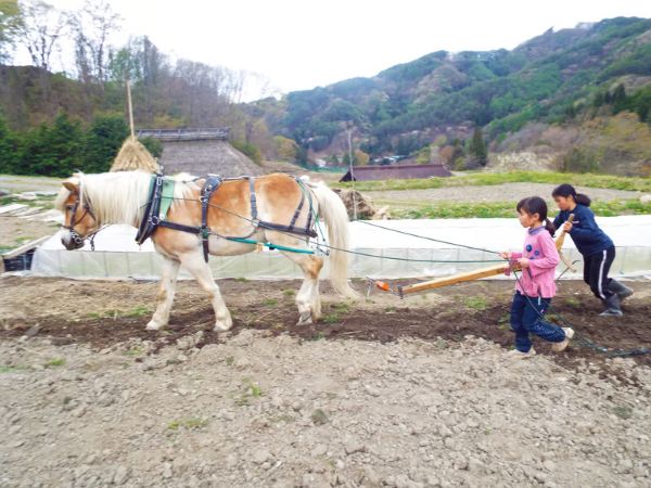 里山で乗馬体験（馬のブラシがけと乗馬でむらをお散歩）1人から5人まで可能【055-12】｜馬 乗馬 乗馬体験 体験 散歩 うま 動物 里山 長野県 伊那市 信州 