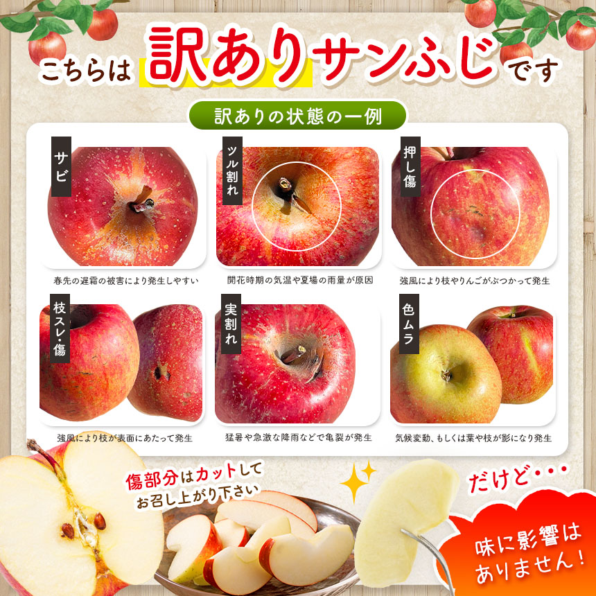 りんご 先行予約 伊那市田原産 リンゴ サンふじ 訳あり 約5kg 2026年11月中旬〜発送｜りんご サンふじ 甘い 訳あり品 美味しい フルーツ 田原 伊那 伊那産 長野県 ふるさと納税【011-a3】