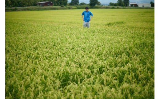 日本酒 井乃頭　純米吟醸　火入れ　R6BY（ 吟醸酒 ）720ml 1本｜長野県産 日本酒 ひとごこち 地酒 地元限定酒 ふるさと納税 晩酌 アルコール 伊那市 ふるさと納税【011-93】