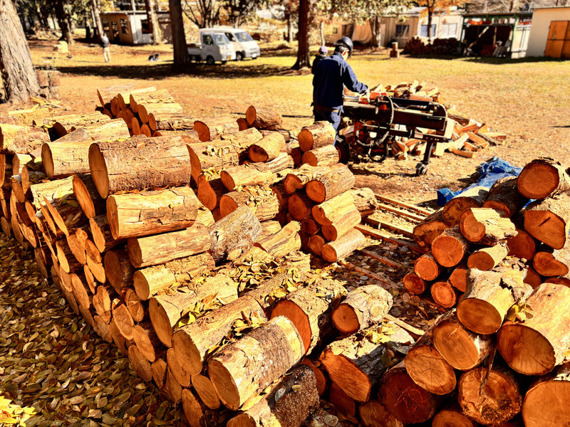 ä¿¡å·ç£çãä»ãçšèª ã«ã©ãã«ã§ã³ãã³ãããçç«å€ä»ãïŒ6åå
¥ïŒçŽ6kg ïŒçŽ3kgÃ2ç®±ïŒ ïœé·éç äŒé£åž ä¿¡å· èª çãä»ãçš çç«å€ä»ã ãã£ã³ã BBQ ã¢ãŠããã¢ã006-10ã