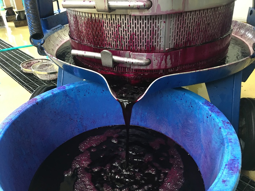 ã¯ã€ã³ æ¥æ¬ã¯ã€ã³ ããŸã¶ã©ãã¯ã€ã³ã山玫ããã¬ãã¢ã 720ml 1æ¬ | ã¯ã€ã³ wine å±±ã¶ã©ã å±±è¡è ã¶ã©ã ä¿¡å·å€§åŠ ä¿¡å€§W-3 ããªãã§ããŒã« äŒé£ãã©ã³ã ãµãããšçŽçš è¿ç€Œå ä¿¡å·ç£ é·éç äŒé£åž ã017-25ã