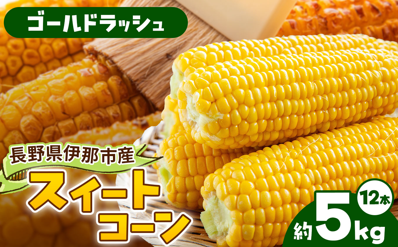 とうもろこし 伊那市産 スイートコーン 約5kg 2Lサイズ 12本入り ゴールドラッシュ 【013-53】