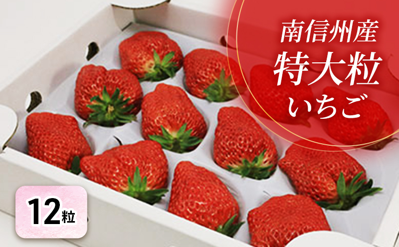 ãç¹éžèŽççšãåä¿¡å·ç£ãç¹å€§ç²ãã¡ããïŒ12ç²å
¥ãïŒãä¿¡å·é§ã¶æ ¹ãã¡ãåã æç©é¡ èº ã€ããŽ