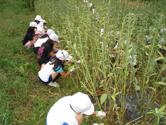 信州駒ヶ根産「生そば（5人前、つゆ付）」＆「生七味」セット