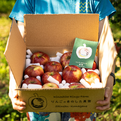 ããã é·é ã¹ããŒããã¬ãã·ã¥ ãµã³ã€ãã 3kg å°äººæ°å®¶åºã«ãŽã£ãã èãšãã ç£å°çŽé ãã«ãŒã æç© ãã¶ãŒã ãã〠ãªã³ãŽ ææª ããã€ãã ç§ æ¬ ã¹ã ãŒãžãŒ ãžã£ã ä¿¡å· é·éç é·éçç£ 2026 2026幎