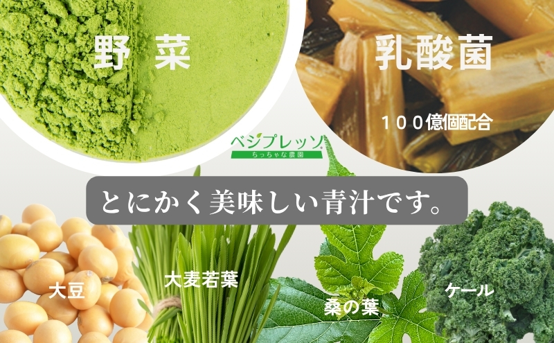 【定期便】【無添加青汁】青汁ミルク風味（5g×30包）3か月連続お届け 無添加青汁 デキストリンフリー青汁 デキストリン無添加青汁 粉末青汁 駒ヶ根市