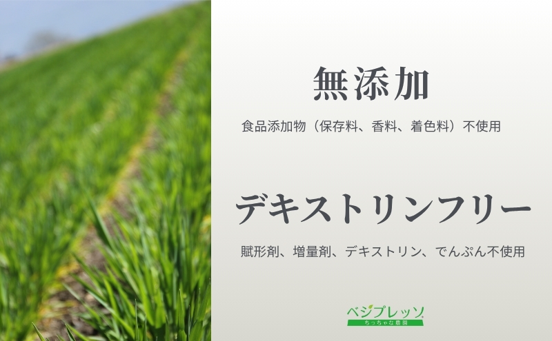 【定期便】【無添加青汁】青汁ミルク風味（5g×30包）3か月連続お届け 無添加青汁 デキストリンフリー青汁 デキストリン無添加青汁 粉末青汁 駒ヶ根市