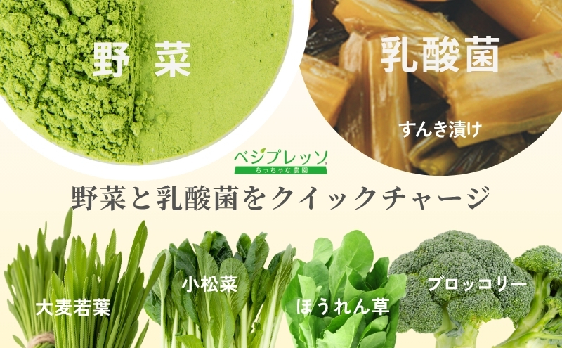 【無添加青汁】乳酸菌青汁400（3g×30包）3個セット 野菜不足 食物繊維 自然素材 添加物不使用 植物性乳酸菌 国産 大麦若葉 ブロッコリー 小松菜 ほうれん草 植物繊維 駒ヶ根市