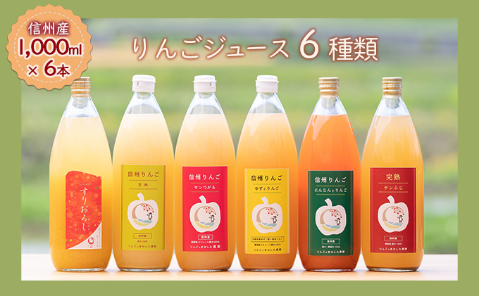 【信州産】りんごの個性にびっくり！ジュース6種セット（1,000ml×6本）