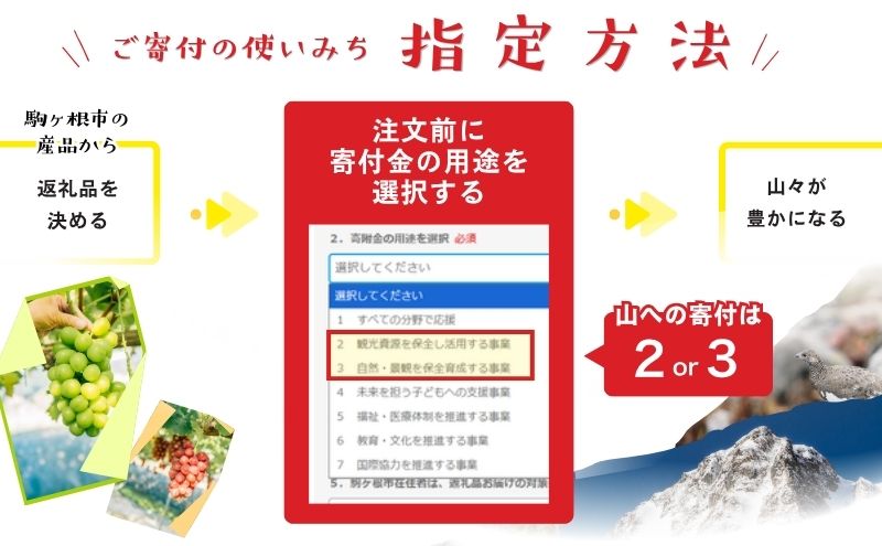 【駒ヶ岳の恵み・朝採り直送・特選房】シャインマスカット 約1.4kg 2～3房 中央アルプス 駒ヶ根産 種なし 皮ごと 山の雫 木曽駒ヶ岳 宝剣岳 千畳敷カール 寒暖差 信州 長野 ぶどう 2026