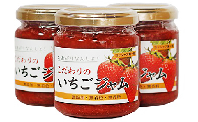 縲舌>縺。縺碑セイ螳カ逶エ騾シ√代%縺繧上j縺ョ縺縺。縺斐ず繝」繝シ育エ140gテ5シ 蜉蟾・蜩 繧、繝√ざ 繧ケ繝医Ο繝吶Μ繝シ