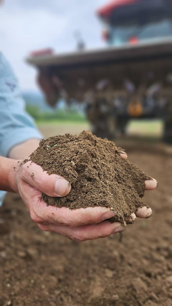 【数量限定/期間限定】信州駒ヶ根産有機たまねぎ「アルプスからの玉手箱」（約6kg） アグリコオリジナル 甘みが強い 野菜 常備野菜 万能野菜 オニオン 国産 国産野菜