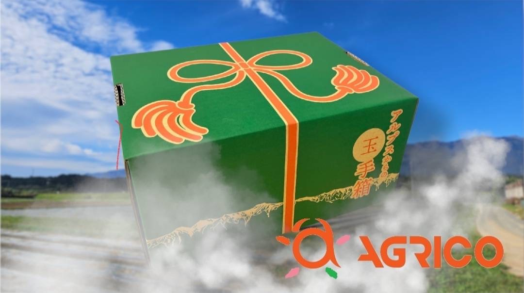 【数量限定/期間限定】信州駒ヶ根産有機たまねぎ「アルプスからの玉手箱」（約6kg） アグリコオリジナル 甘みが強い 野菜 常備野菜 万能野菜 オニオン 国産 国産野菜