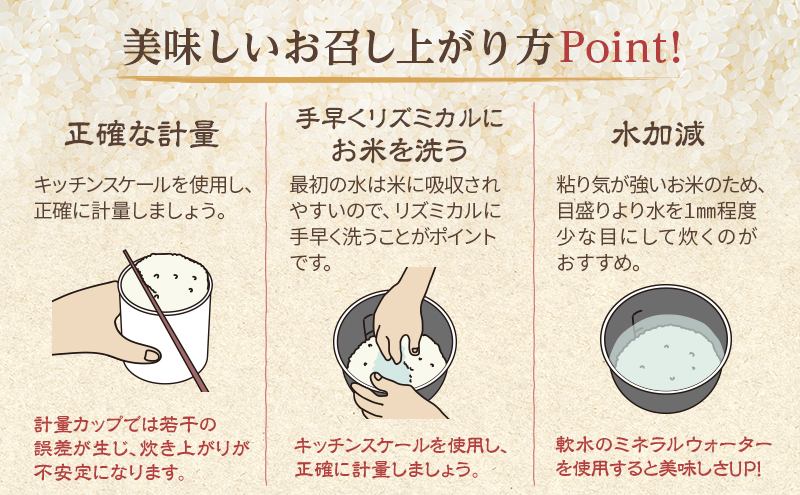 【定期便】長野県産「コシヒカリ」（5kg×3回）【橋本商事】