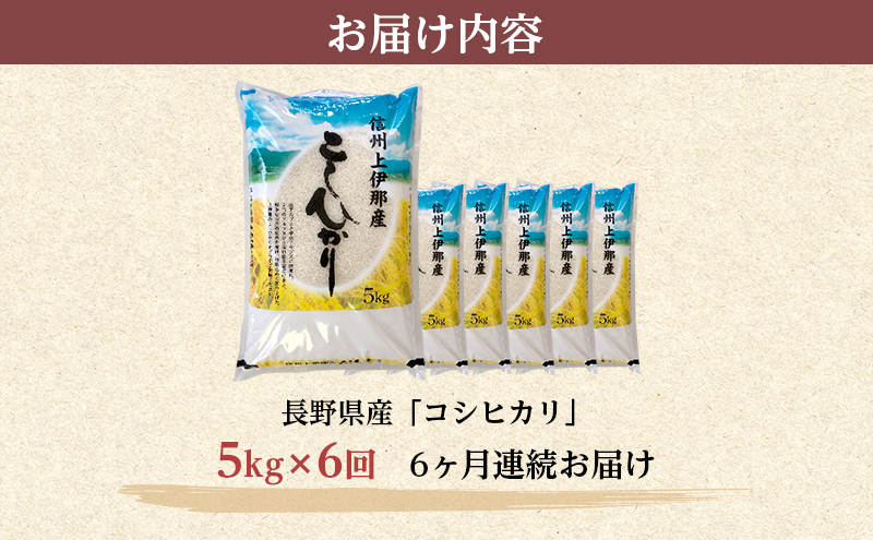 【定期便】長野県産「コシヒカリ」（5kg×6回）【橋本商事】