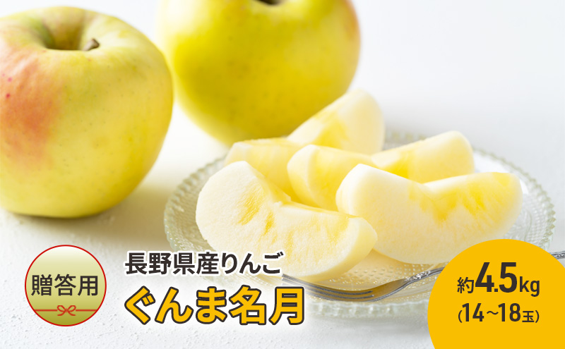りんご 長野 贈答用 リンゴ ぐんま名月 約4.5kg（14玉?18玉） 産地直送 ギフト プレゼント 贈答 贈答品 贈り物 蜜 フルーツ 果物 デザート 林檎 秋 旬 信州 長野県