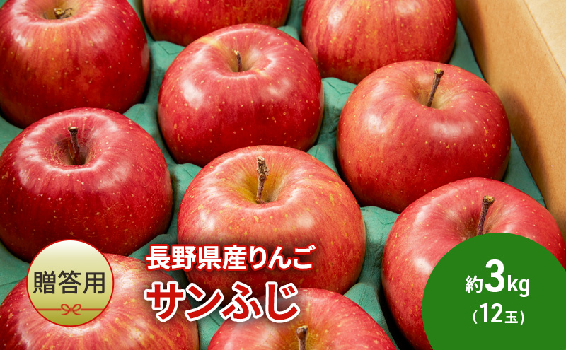 りんご 長野 贈答用 リンゴ サンふじ 約3kg （12玉） 産地直送 ギフト プレゼント 贈答 贈答品 贈り物 フルーツ 果物 デザート サンフジ 秋 旬 信州 長野県 長野県産