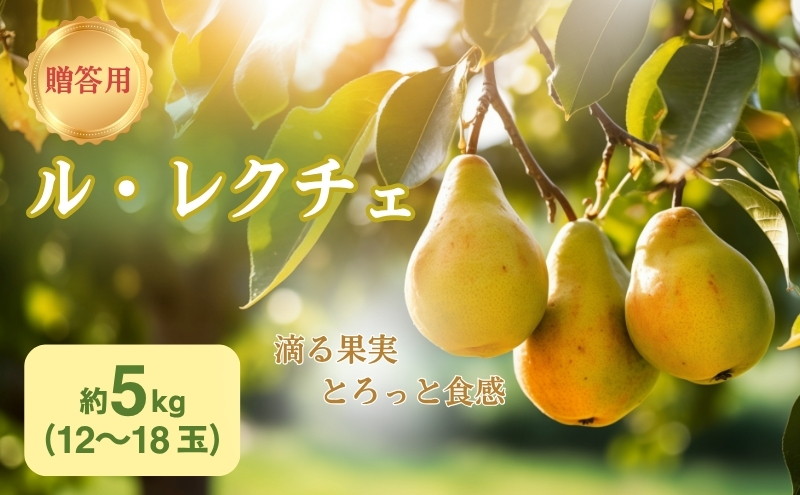 洋梨 長野 贈答用 ル・レクチェ 約5kg （12～18玉） 西洋なし 産地直送 ギフト プレゼント 贈答 贈答品 贈り物 蜜 フルーツ 果物 デザート おやつ 洋ナシ 秋 旬 長野県