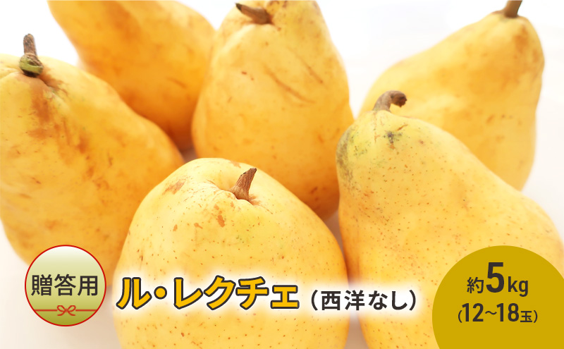 洋梨 長野 贈答用 ル・レクチェ 約5kg （12～18玉） 西洋なし 産地直送 ギフト プレゼント 贈答 贈答品 贈り物 蜜 フルーツ 果物 デザート おやつ 洋ナシ 秋 旬 長野県
