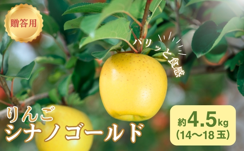 りんご 長野 贈答用 リンゴ シナノゴールド 約4.5kg（14玉～18玉） 産地直送 ギフト プレゼント 贈答 贈答品 贈り物 フルーツ 果物 デザート おやつ 秋 旬 信州 長野県