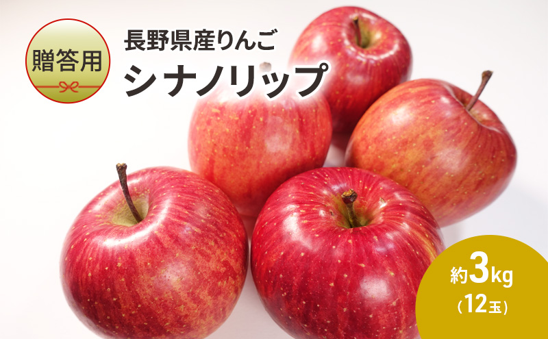 りんご 長野 贈答用 リンゴ シナノリップ 約3kg （12玉） 産地直送 ギフト プレゼント 贈答 贈答品 贈り物 フルーツ 果物 デザート おやつ 林檎 旬 信州 長野県 長野県産