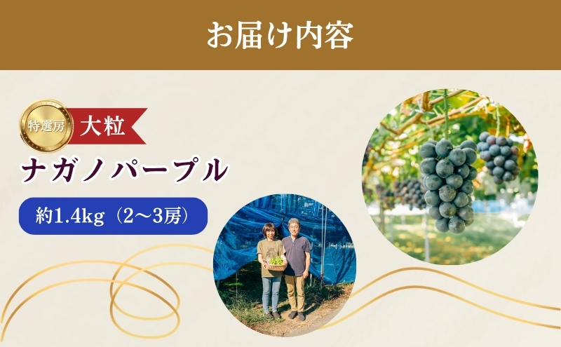 2026年産 ぶどう 長野 ナガノパープル 約1.2kg 2〜3房 特選 大粒 種なし 皮ごと 産地直送 フルーツ 果物 デザート おやつ 葡萄 長野パープル 秋 旬 旬の果物 旬のフルーツ 信州 信州産 長野県 長野県産 2026 2026年