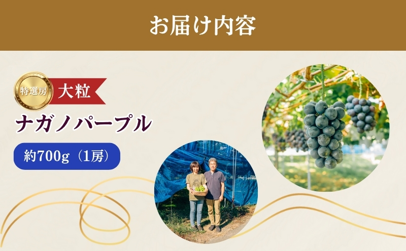 2026å¹Žç£ ã¶ã©ã ãã¬ãããŒãã« çŽ600gïŒ1æ¿ïŒæç© ãã«ãŒã ãã¶ãŒã ä¿¡å· é·é é§ã±æ ¹åž