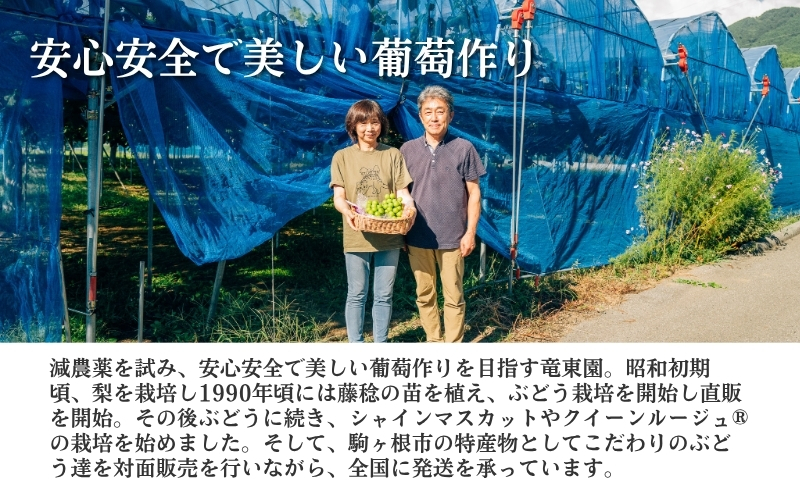 2026å¹Žç£ ã¶ã©ã ãã¬ãããŒãã« çŽ600gïŒ1æ¿ïŒæç© ãã«ãŒã ãã¶ãŒã ä¿¡å· é·é é§ã±æ ¹åž