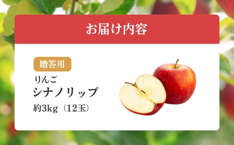 りんご 長野 贈答用 リンゴ シナノリップ 約3kg （12玉） 産地直送 ギフト プレゼント 贈答 贈答品 贈り物 フルーツ 果物 デザート おやつ 林檎 旬 信州 長野県 長野県産