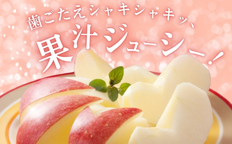 りんご 長野 贈答用 リンゴ シナノリップ 約3kg （12玉） 産地直送 ギフト プレゼント 贈答 贈答品 贈り物 フルーツ 果物 デザート おやつ 林檎 旬 信州 長野県 長野県産