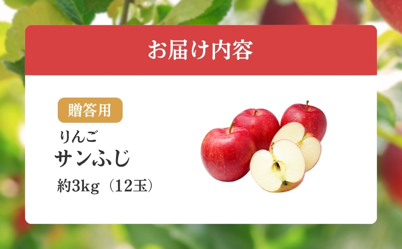 りんご 長野 贈答用 リンゴ サンふじ 約3kg （12玉） 産地直送 ギフト プレゼント 贈答 贈答品 贈り物 フルーツ 果物 デザート サンフジ 秋 旬 信州 長野県 長野県産