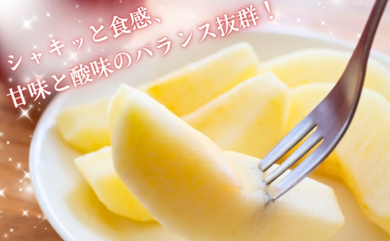 りんご 長野 贈答用 リンゴ サンふじ 約3kg （12玉） 産地直送 ギフト プレゼント 贈答 贈答品 贈り物 フルーツ 果物 デザート サンフジ 秋 旬 信州 長野県 長野県産