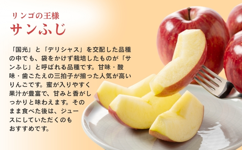 りんご 長野 贈答用 リンゴ サンふじ 約3kg （12玉） 産地直送 ギフト プレゼント 贈答 贈答品 贈り物 フルーツ 果物 デザート サンフジ 秋 旬 信州 長野県 長野県産