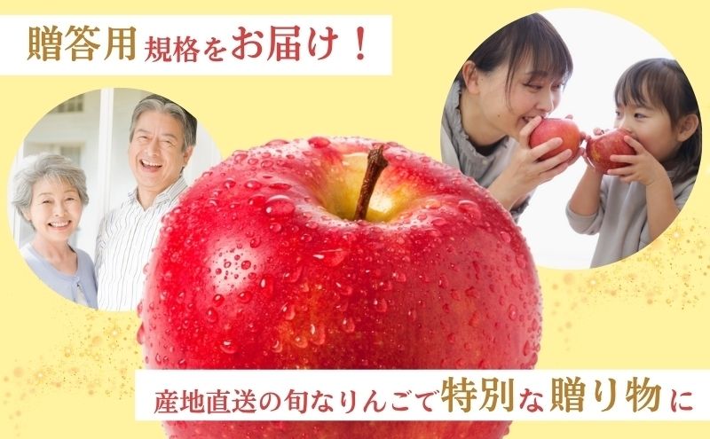 りんご 長野 贈答用 リンゴ シナノスイート 約3kg （12玉） 産地直送 ギフト プレゼント 贈答 贈答品 贈り物 フルーツ 果物 デザート 林檎 秋 旬 信州 長野県 長野県産