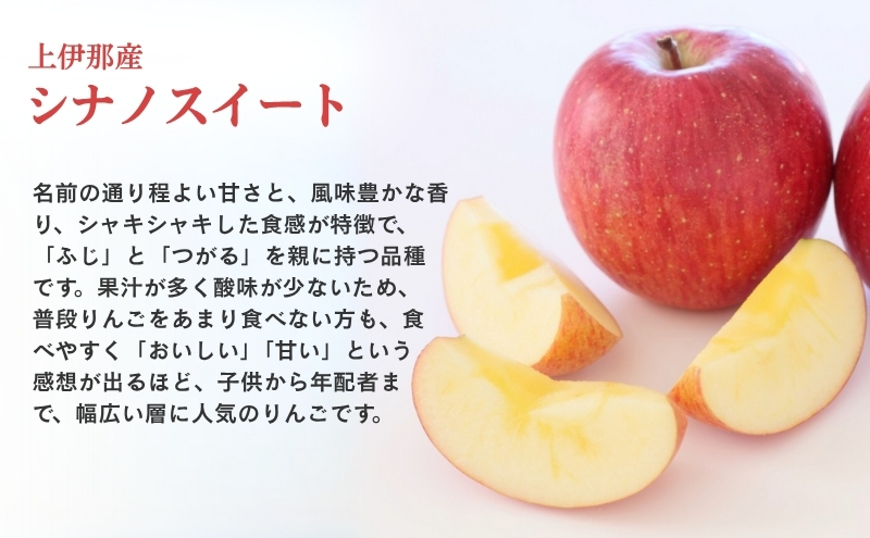 りんご 長野 贈答用 リンゴ シナノスイート 約3kg （12玉） 産地直送 ギフト プレゼント 贈答 贈答品 贈り物 フルーツ 果物 デザート 林檎 秋 旬 信州 長野県 長野県産